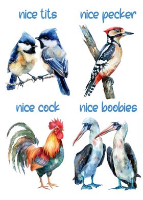 Funny Birds watercolor 