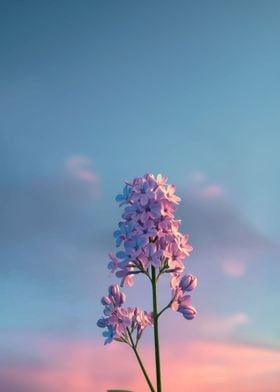 Minimalist Lilac Flower