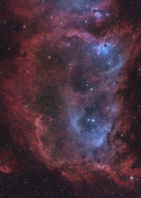 IC1848 Soul Nebula