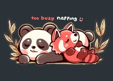Too Busy Napping
