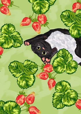 Sweet Strawberries Kitten