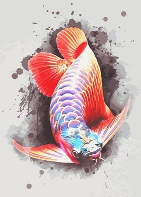 Fighting Fish