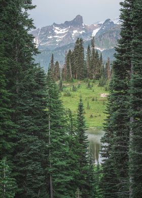 Framed by Nature