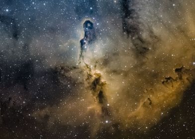 IC1396 Elephant Nebula