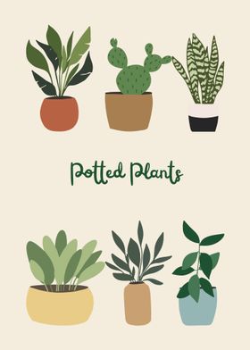 Home Potted Plants