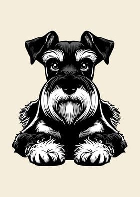 Miniature Schnauzer