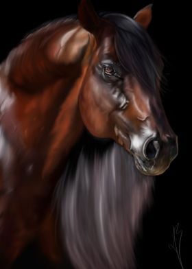 Horse