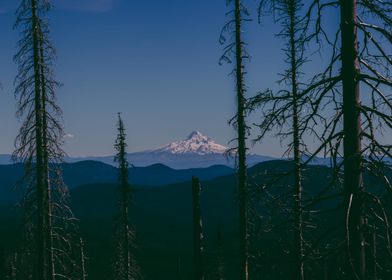 Mount Hood