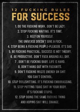 12 fucking rule to success