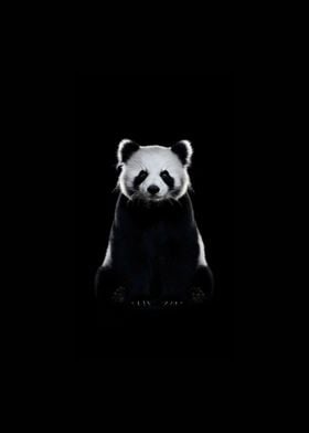 Panda pitch black