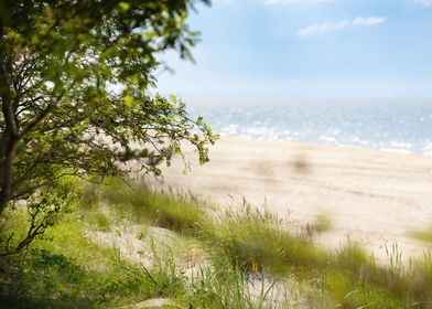 Sunny day on sandy beach