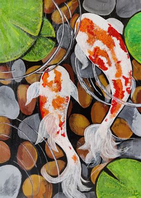 Koi Fish