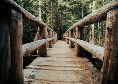 Trail Bridge