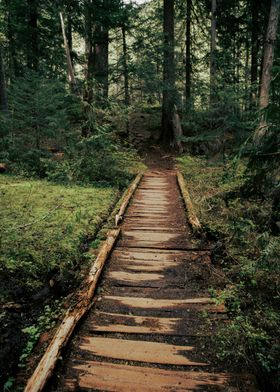 Wooden Path