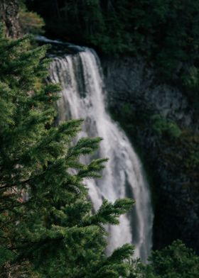 Forest Waterfall