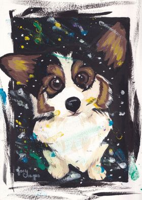 Cardigan Corgi Puppy