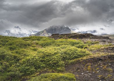 Icelandic landscape