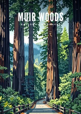  Muir Woods Natl Monument