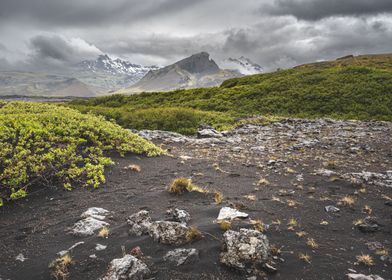 Icelandic landscape