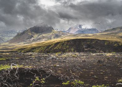 Icelandic plains