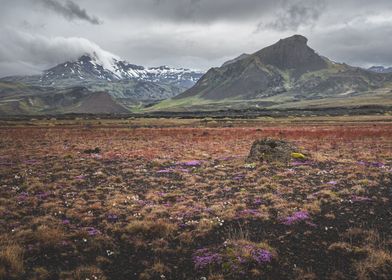 Icelandic plains