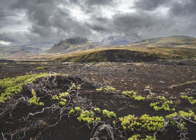 Icelandic plains