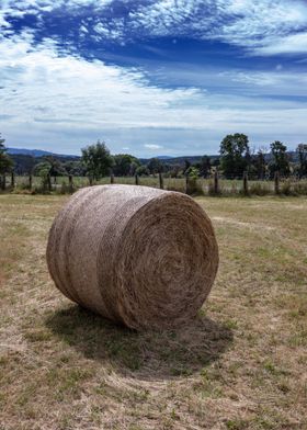 Make Hay While Sun Shines