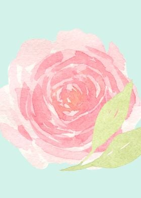 Watercolor pink flower