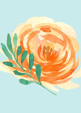 Watercolor Orange rose