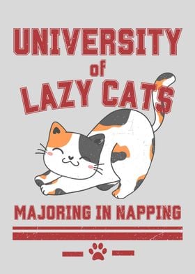 university of lazy cats