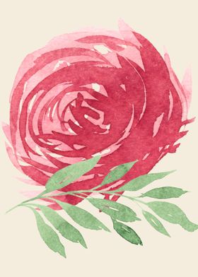 Watercolor red rose