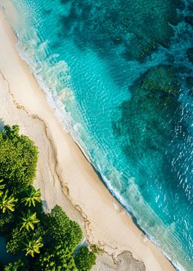 Aerial view beach summer