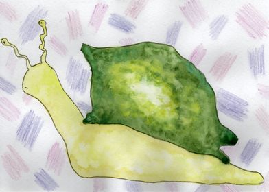 Lime Snail