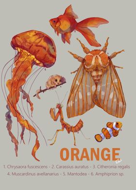 Orange creatures