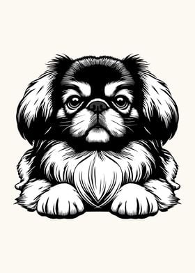 The Pekingese