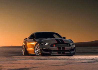 Ford Mustang Shelby GT350