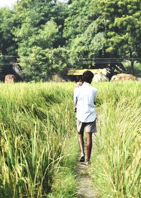 Farmer and Agriculture