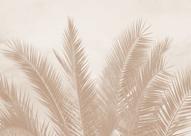 Dreamy Caribbean Palms 4