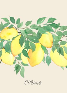 Citrons