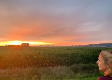 Sunset on Farmland