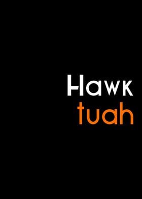 hawk tuah