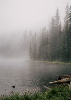 Foggy Forest Lake