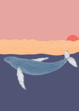 Sunset whale