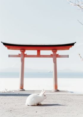 Torii