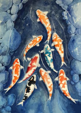 Koi Fish