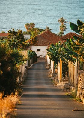 Coastal Path Serenity