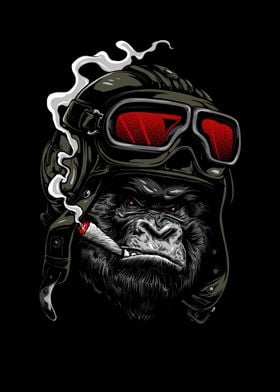 Funny monkey Pilot