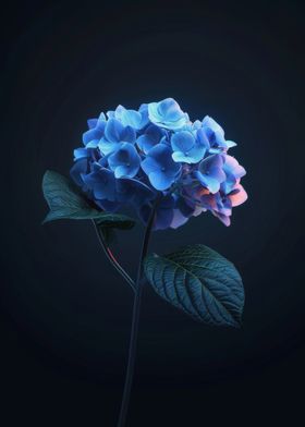 Elegant Hydrangea Flower