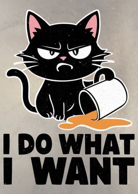 I Do What I Want Cat