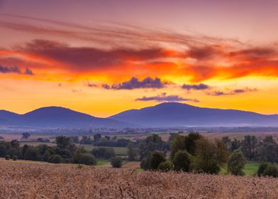 Colorful summer sunset 